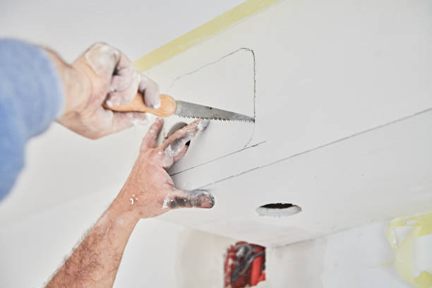 Comparison of Plaster and Drywall: Which Suits Your Needs Best?